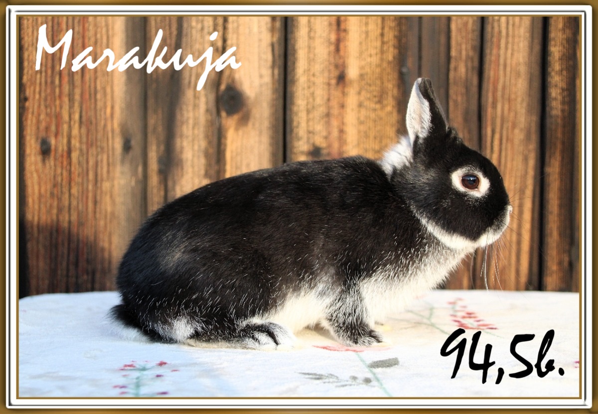 marakuja1w