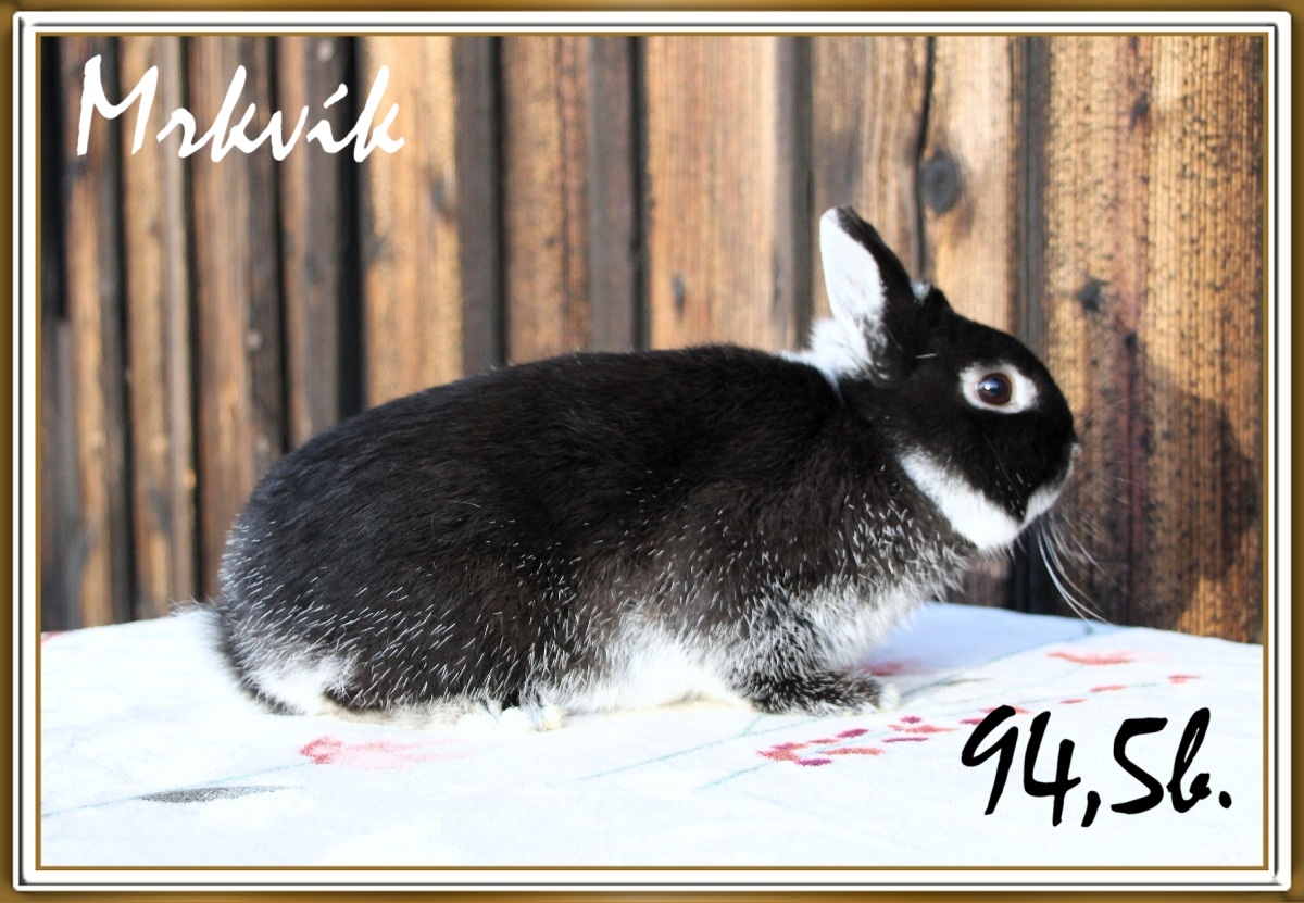 mrkvik1w